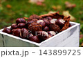 Smooth brown chestnuts with glossy shells fill rustic wooden container in outdoor autumn background. Concept of abundance of the fall harvest 143899725