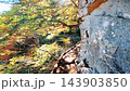 紅葉の北アルプスの黒部峡谷の下ノ廊下 143903850