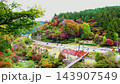Beautiful autumn foliage scenery at Oihei Park 143907549