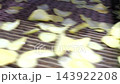 Thin potato slices move along a mesh conveyor during industrial drying at a potato chips factory. Automated snack manufacturing and potato processing on a large-scale food production line. 143922208