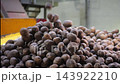 Freshly harvested potatoes move along an industrial conveyor during post-harvest handling and sorting. Large-scale agricultural production and automated potato processing at a food facility. 143922210