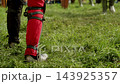 Armored legs move across grass as two knights clash with swords during medieval combat reenactment. Low angle framing emphasizes footwork, plate armor and physical intensity of traditional festival 143925357