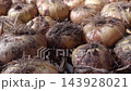Bulbs drying on rack after harvest, showcasing natural textures and colors 143928021