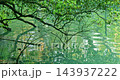湖、樹枝、翠綠、倒影、波光，湖、木の枝、エメラルドグリーン、反射、きらめく水、Lake, tree 143937222