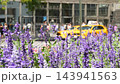 New York City, USA. Manhattan Midtown Columbus Circle Broadway street. Yellow taxi, people, flowers. 143941563