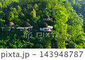 Aerial view of dome shaped eco lodges surrounded by dense green forest in Flores, East Nusa Tenggara 143948787