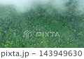Aerial view of dense tropical rainforest canopy covered by low-drifting clouds and mist along a 143949630