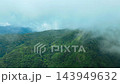Aerial view of dense green tropical rainforest mountains and ridges covered in fog and low clouds in 143949632