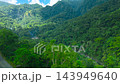 Aerial view of green tropical mountain slopes and an asphalt road winding through a dense rainforest 143949640