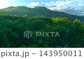 Aerial view of green tropical forest canopy covering rolling mountains under a cloudy sky in Flores 143950011