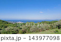 Mountaintop Grassland (Ikitsuki Island, Nagasaki Prefecture) 143977098