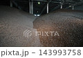 Large piles of granulated sugar beet pulp stored inside an industrial warehouse. Dried beet pulp pellets produced during sugar processing for livestock feed and agricultural use. 143993758