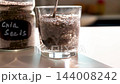 Chia seeds swell in water forming a gel on a bright kitchen counter 144008242