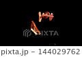 Black Kamado Grill with Floating Raw Meat Against Black Background 144029762